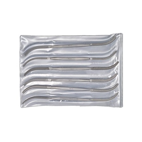 6 LIME-RASPE D 2652/6+CONT.