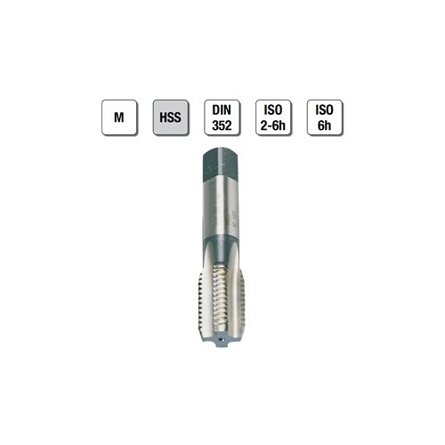 MASCHI F 7801X8