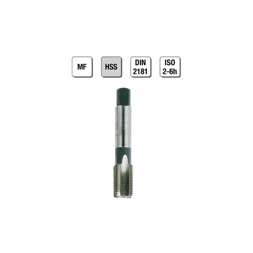 MASCHI F 7811X32X1,5