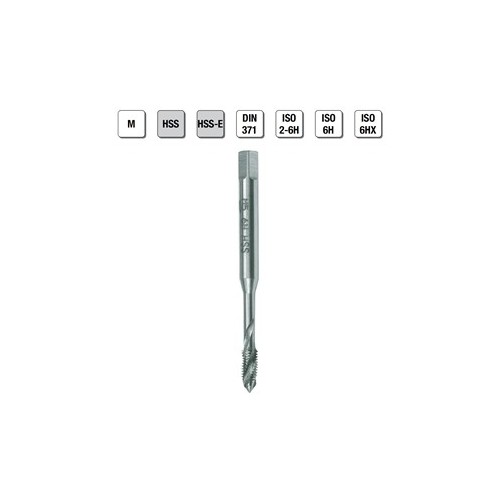 MASCHI F 7842/7X3