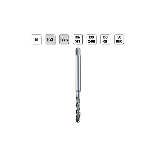 MASCHI F 7843/2X2,3 M