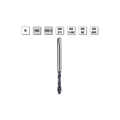 MASCHI F 7843/22X10 M