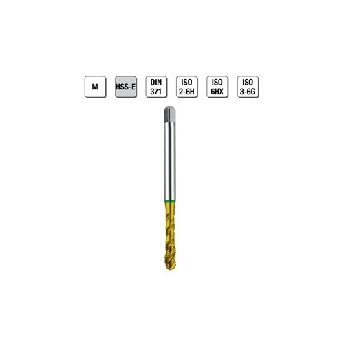 MASCHI F 7843/44X3 M