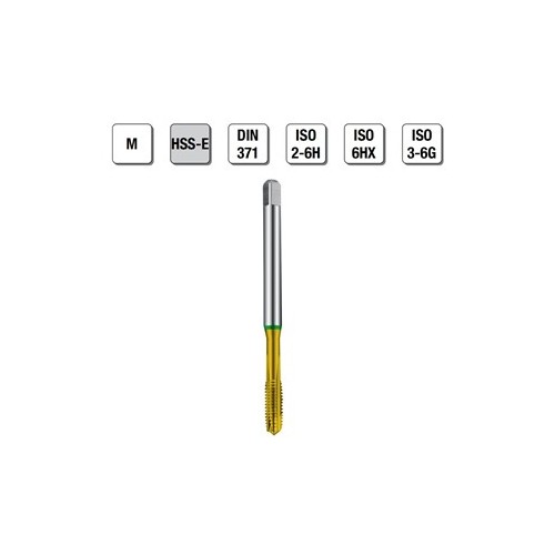 MASCHI F 7845/44X10 M
