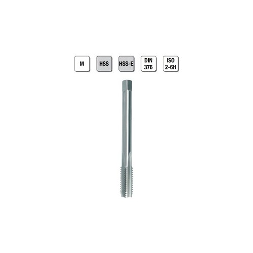 MASCHI F 7855/2X6