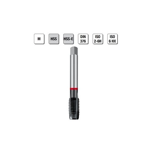 MASCHI F 7865/3X20 M