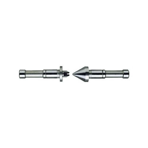 CAPRUGGINI+PUNTE H 4296X3