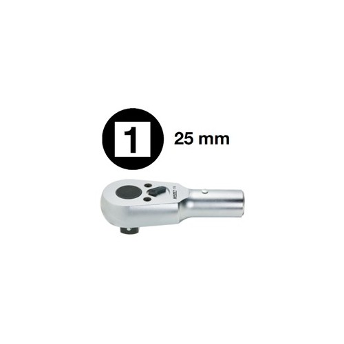 TESTA A CRICC. A 3221/5 ATT.1"